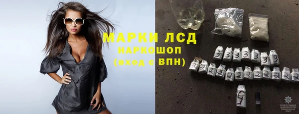 ПСИЛОЦИБИНОВЫЕ ГРИБЫ Кулебаки