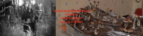 ешки Куйбышев