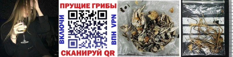 Галлюциногенные грибы Magic Shrooms Кяхта